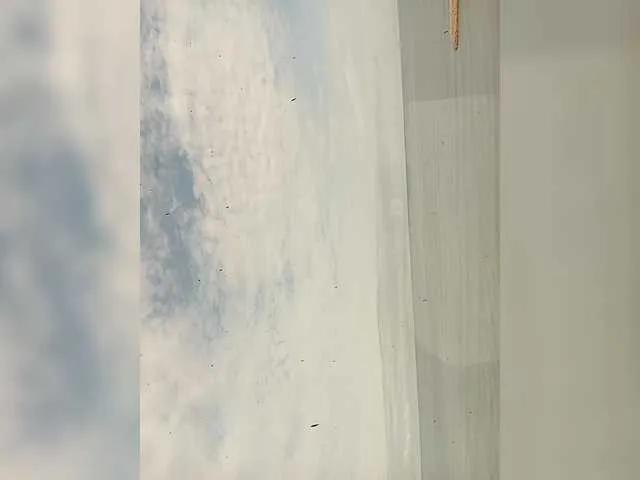 AngeRouse on BongaCams