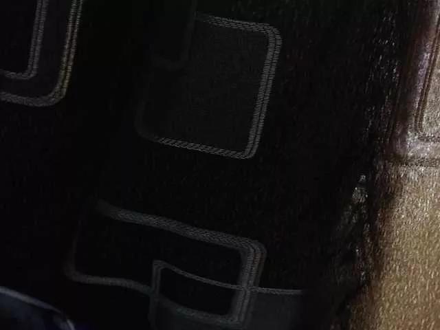 Freechat paloma12 on BongaCams