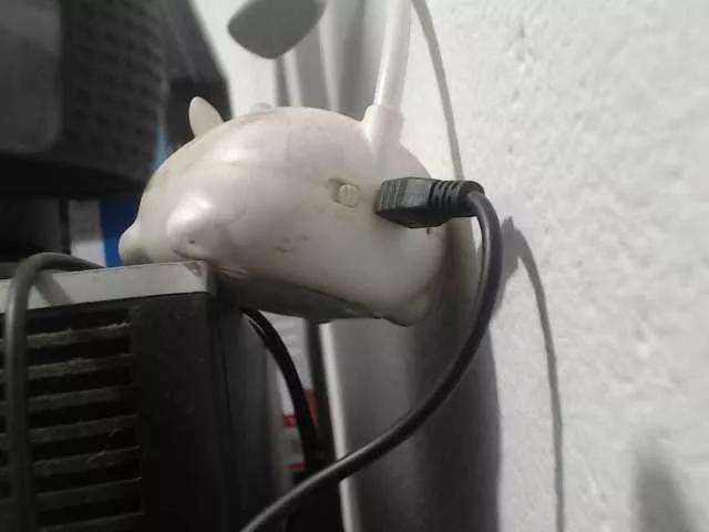 saimajayeb on BongaCams