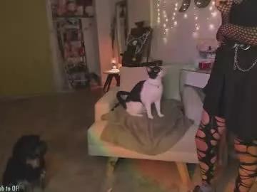 blushing_nymph on Chaturbate