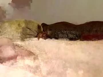 diegomoreno19 on Chaturbate