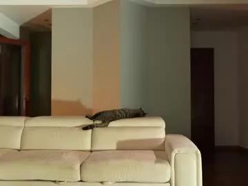 Freechat jseductiveart on Chaturbate