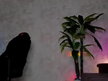 Freechat kaow65 on Chaturbate