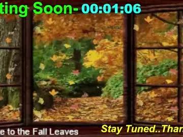 Freechat scifidiscoguy on Chaturbate