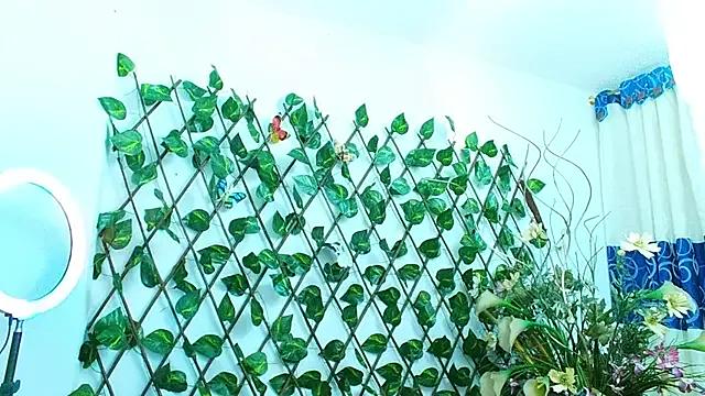 dannamomcerrat on StripChat