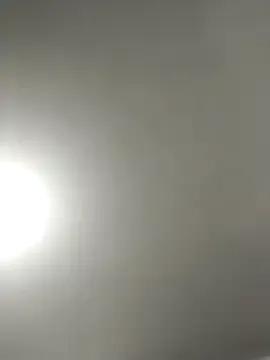 Dolcecurvy on StripChat