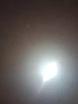 Dolcecurvy on StripChat