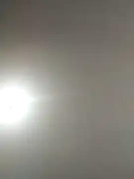 Dolcecurvy on StripChat