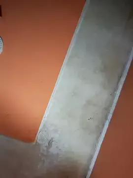 ducicsajsziii on StripChat