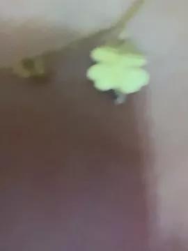 Eva_Ryen on StripChat