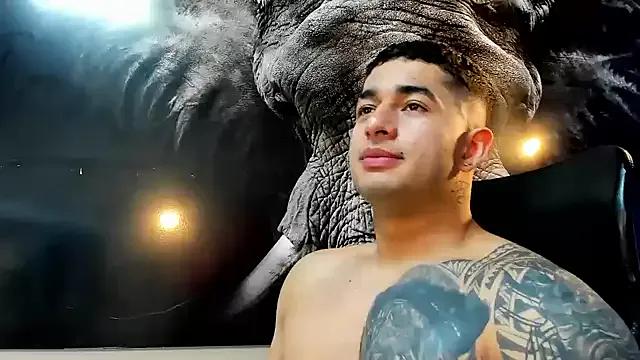 king_falconer — Surprise show!