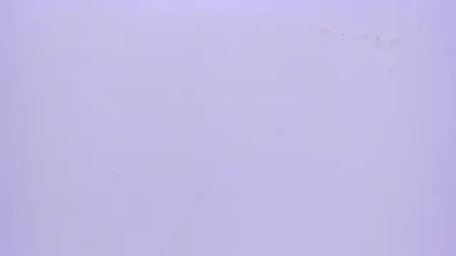 Private Mila_grace_ on StripChat