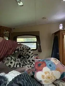 Freechat Novgirl110883 on StripChat