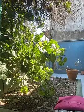 Sofyalone_ on StripChat