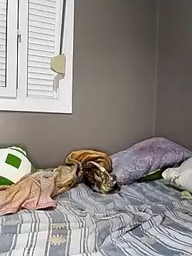 Freechat Su_Duarte_1 on StripChat