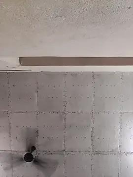 Swapna_kannada on StripChat