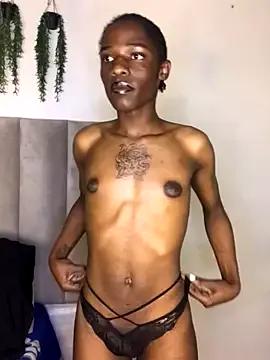 Trans_fairy on StripChat