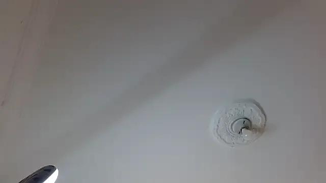 Freechat vaness_weet on StripChat